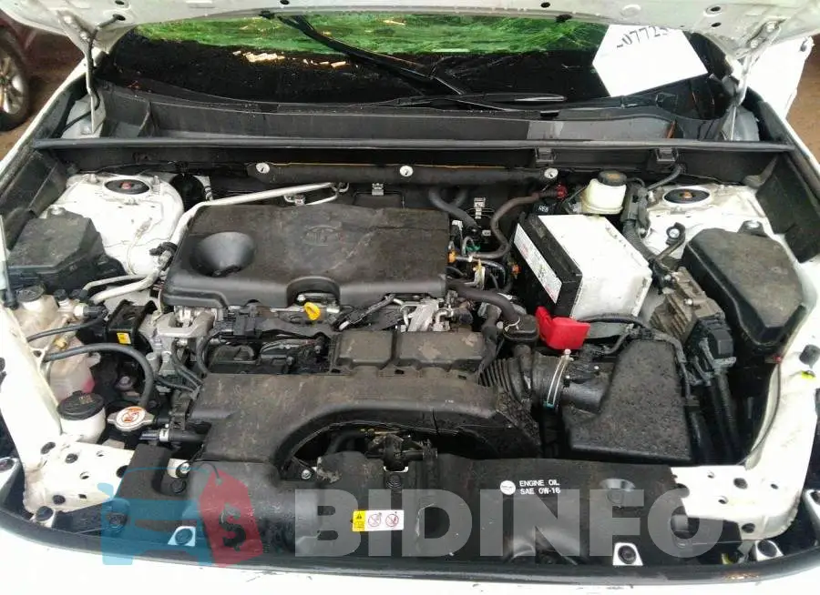 JTMP1RFV9KD036204 Photo# 10