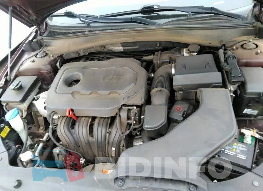 5XXGT4L32JG248902 Photo# 10