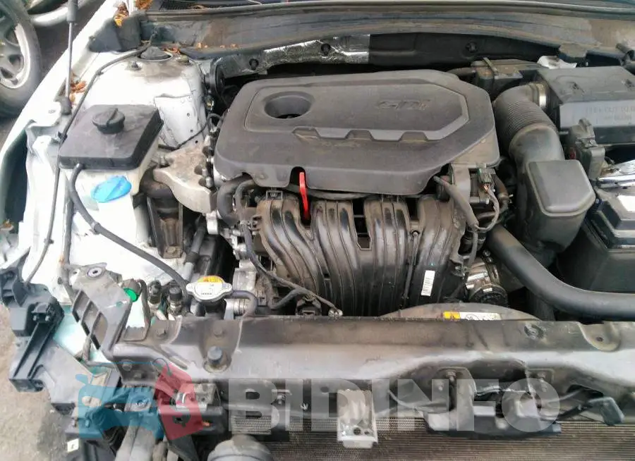 5XXGU4L36JG202616 Photo# 10