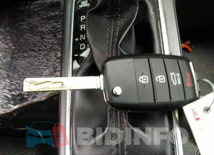 5XXGT4L32JG248902 Photo# 11
