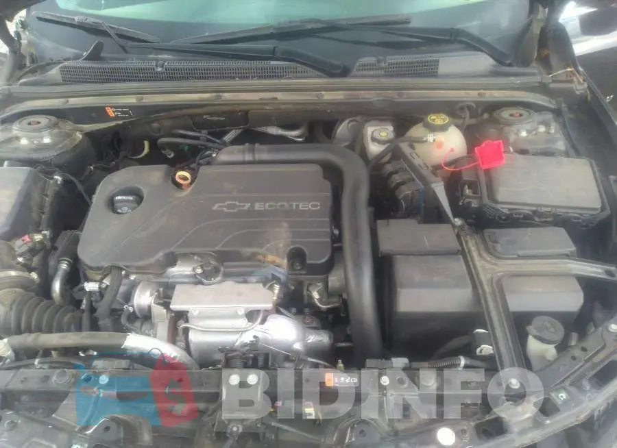 1G1ZE5ST1HF157227 Photo# 10