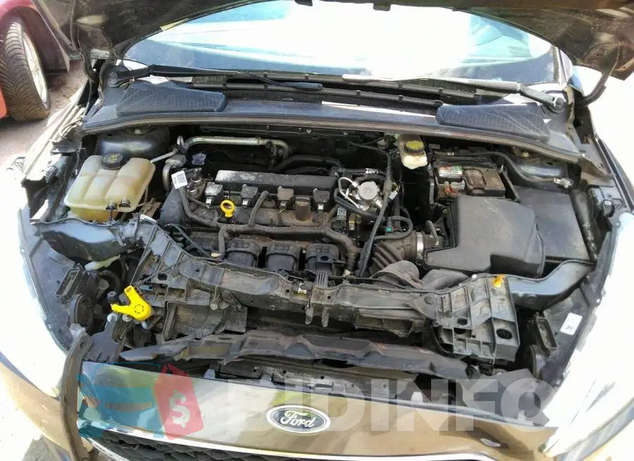 1FADP3E22HL223293 Photo# 10