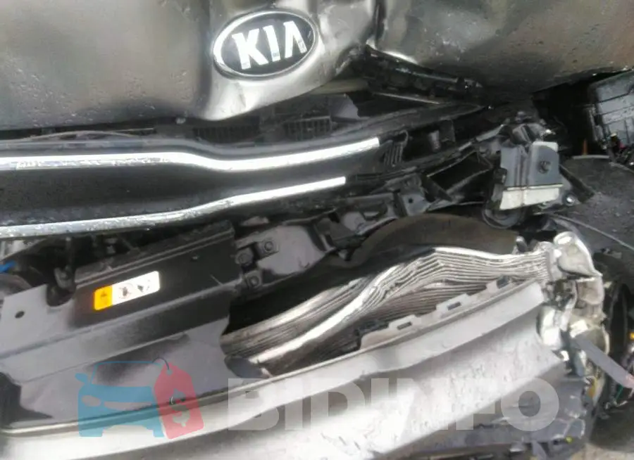 KNDJN2A23K7008783 Photo# 10