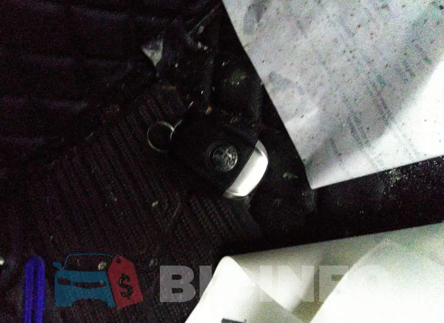 ZASFAKEV0J7C18303 Photo# 11