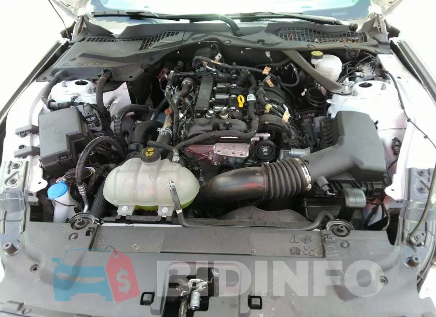 1FATP8UH9M5115573 Photo# 10