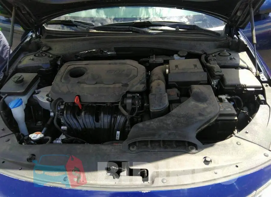 5XXGT4L35JG264642 Photo# 10