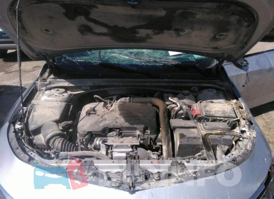 1G1ZD5ST3MF030671 Photo# 10