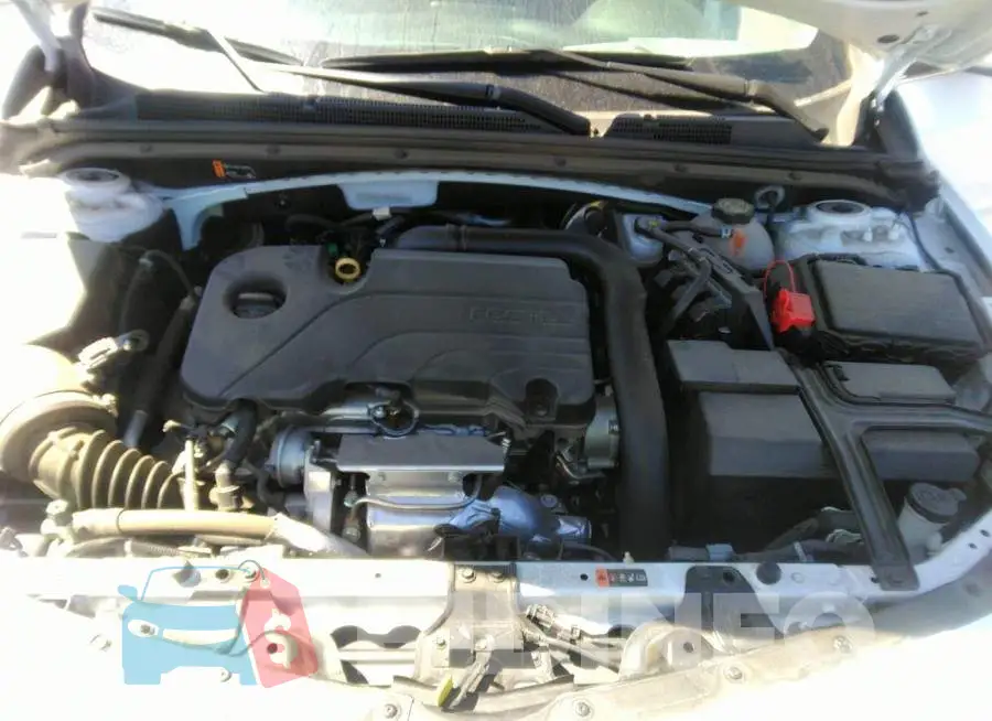 1G1ZD5ST4MF066191 Photo# 10