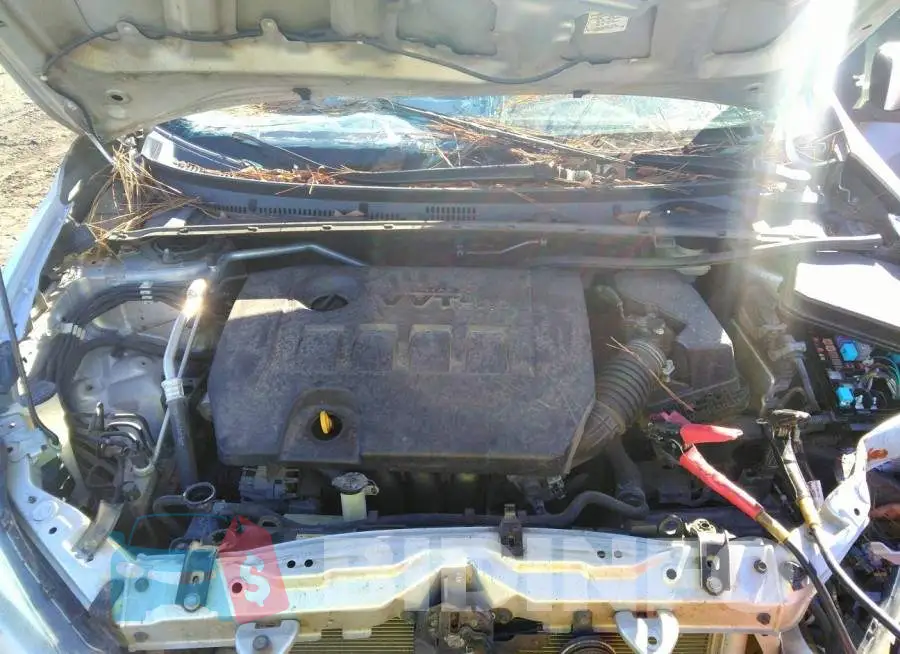 5YFBURHE7FP240923 Photo# 10