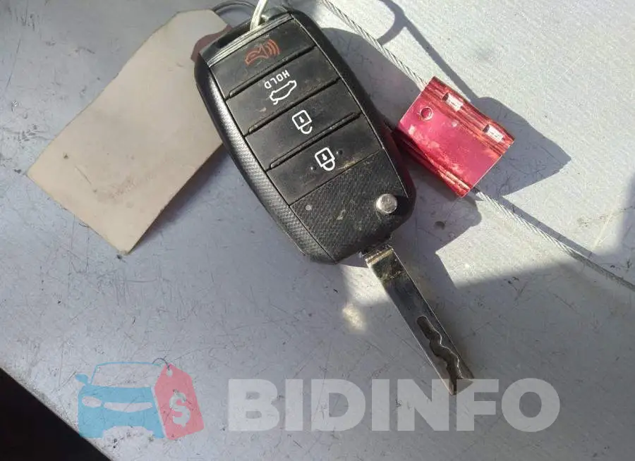 KNAGT4L3XJ5221965 Photo# 11