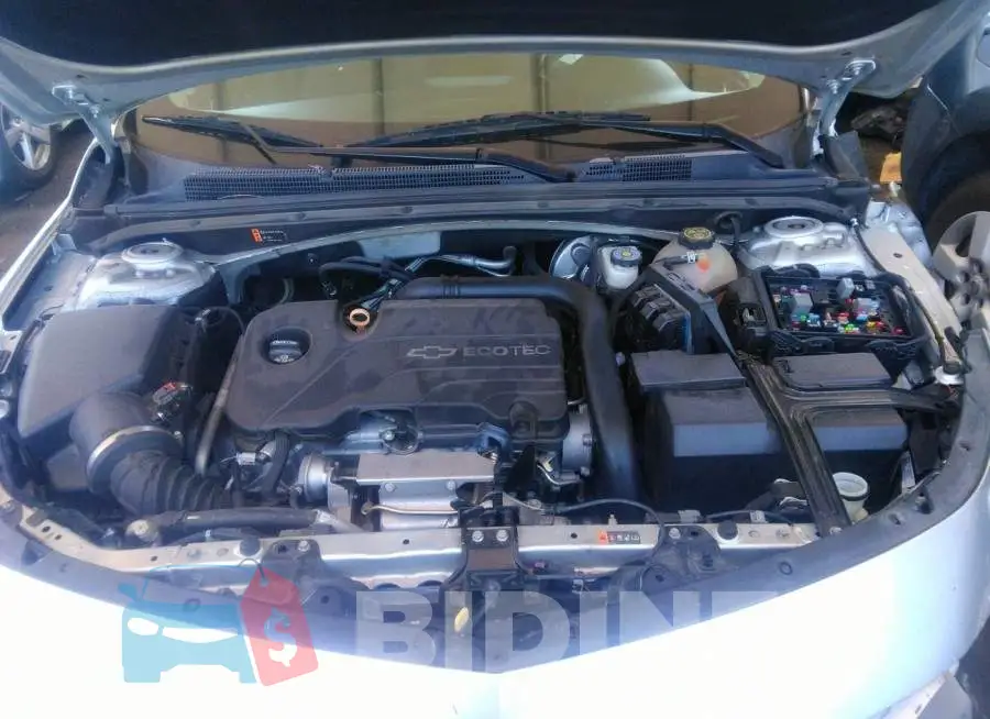 1G1ZE5ST5HF121833 Photo# 10