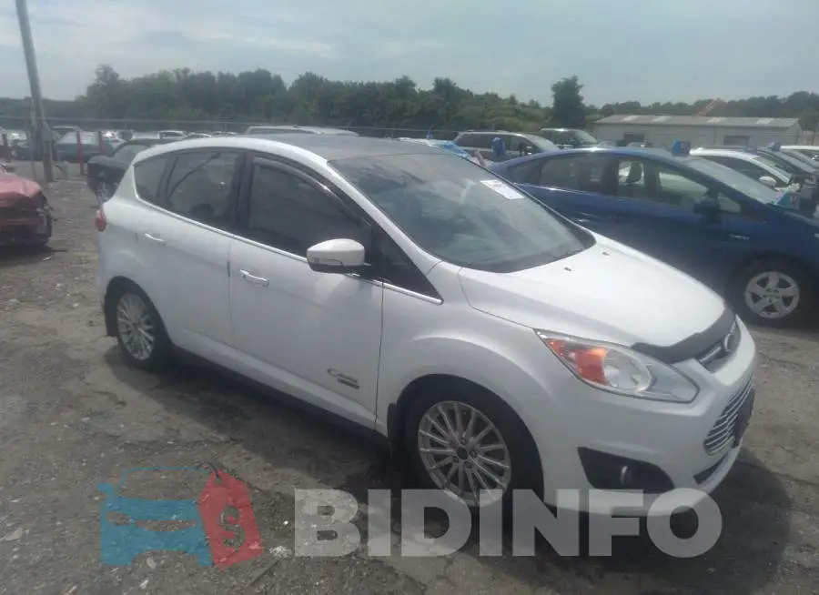 1FADP5CU6GL115337 Photo# 1