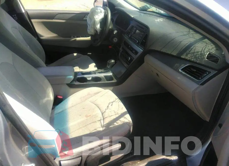 5NPE24AF4HH459668 Photo# 5