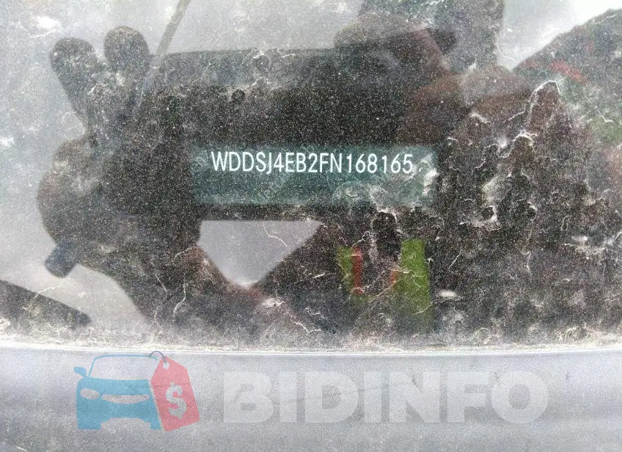 WDDSJ4EB2FN168165 Photo# 9