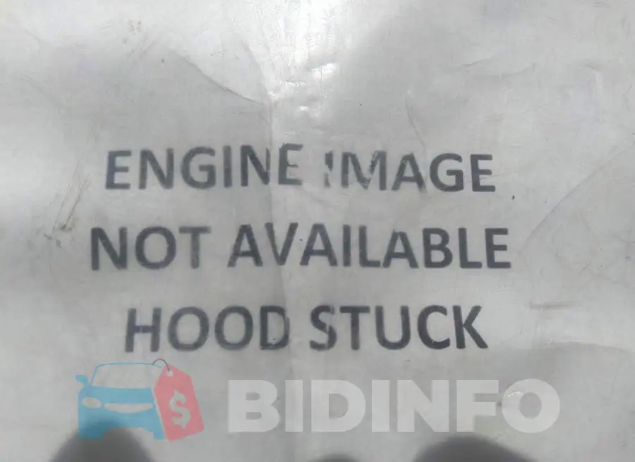 1FADP3M29HL235944 Photo# 10