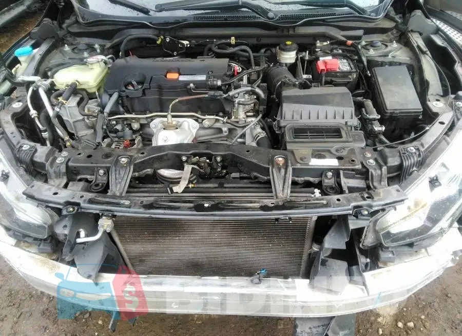 2HGFC2F53GH550302 Photo# 10