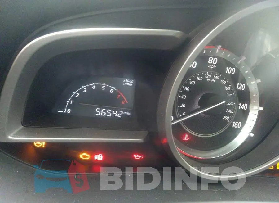 JM1BM1M76G1342244 Photo# 7