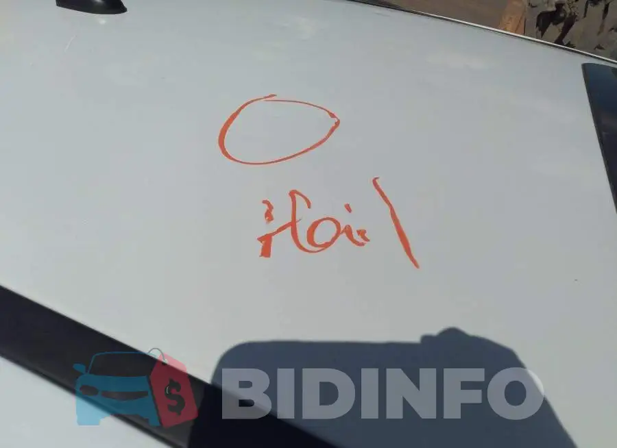 1FADP3M20JL236289 Photo# 6