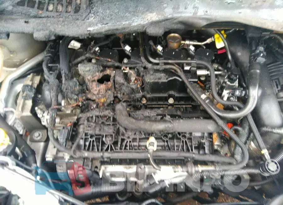 1FMCU9GD7HUA68696 Photo# 6