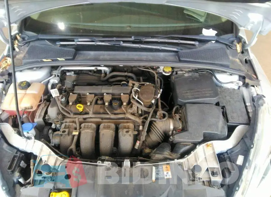 1FADP3N20FL349200 Photo# 10