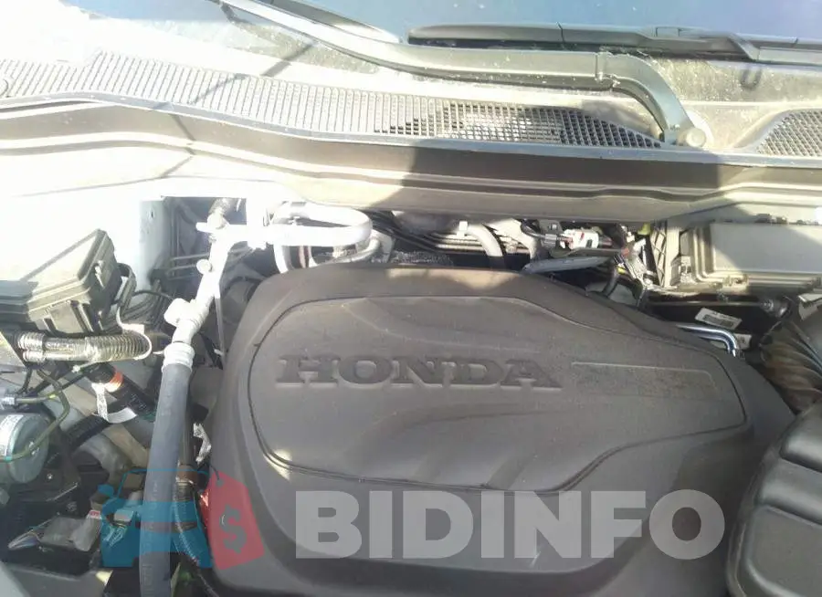 5FNYF8H50MB001494 Photo# 10