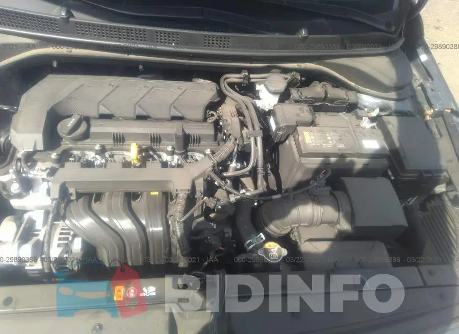 3KPC24A65LE122463 Photo# 10