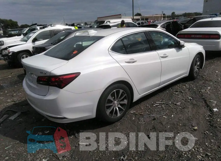 19UUB1F56FA012582 Photo# 4