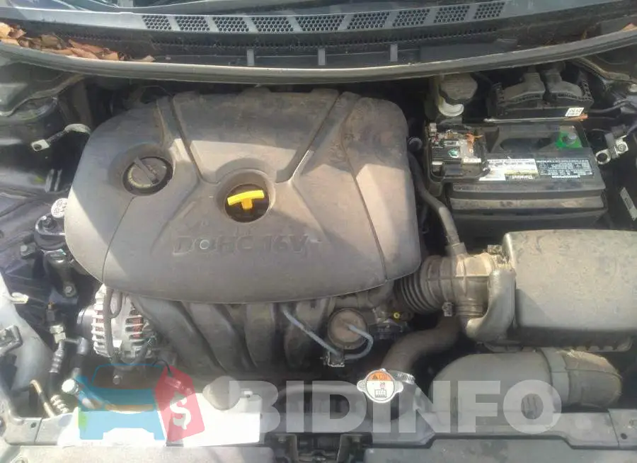 KNAFX4A66F5317211 Photo# 10