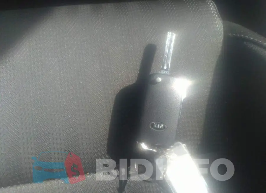 KNDPMCAC7M7919682 Photo# 11