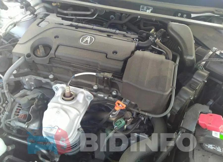 19UUB1F55GA013398 Photo# 10