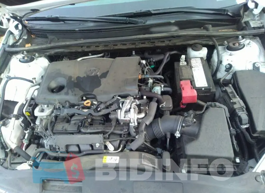 4T1C11AK2LU910869 Photo# 10