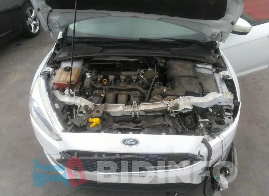 1FADP3F24GL204807 Photo# 10