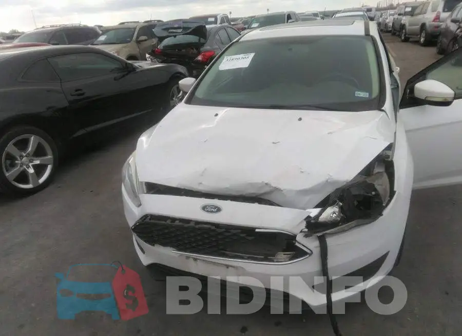 1FADP3F24GL204807 Photo# 6