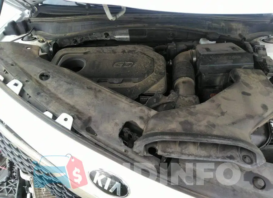 5XXGT4L39JG242322 Photo# 10