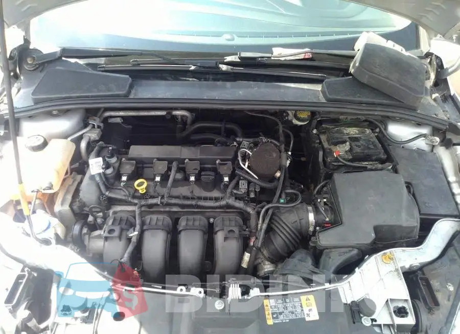 1FADP3F21GL263507 Photo# 10