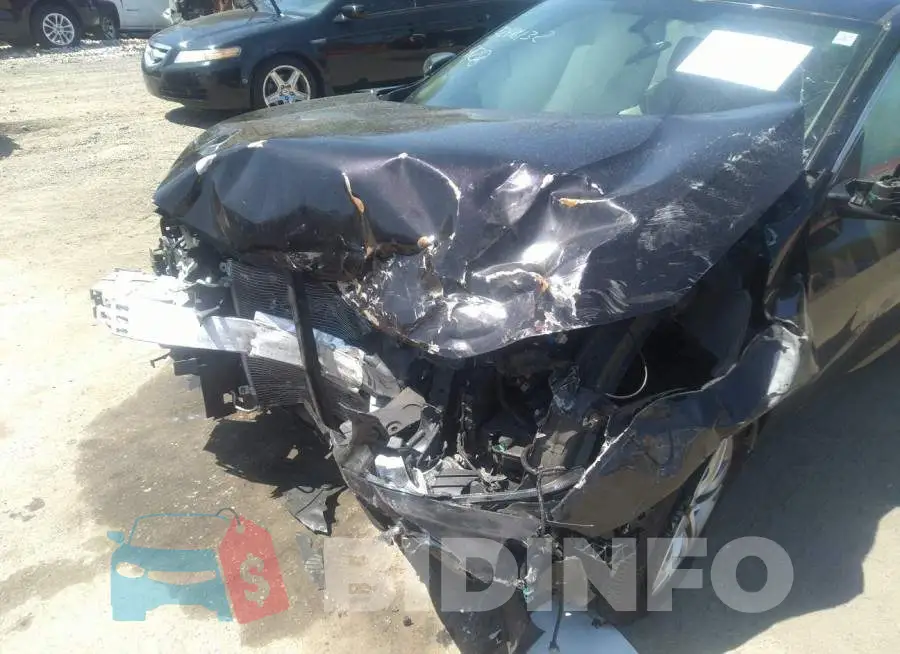 19XFC2F59GE240634 Photo# 6