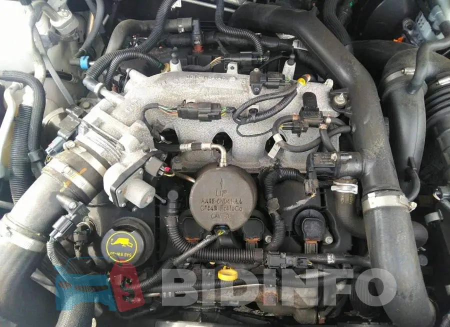 1FM5K8GT8HGD75129 Photo# 10
