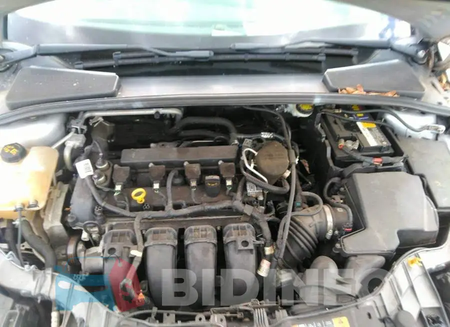 1FADP3E27GL298571 Photo# 10