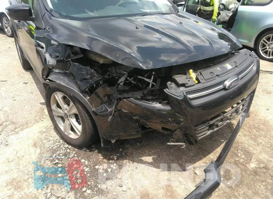 1FMCU0G75GUA60116 Photo# 6