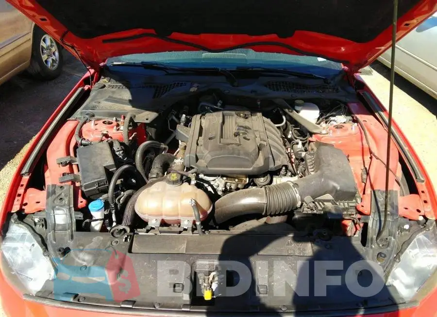 1FATP8UH8L5120004 Photo# 10