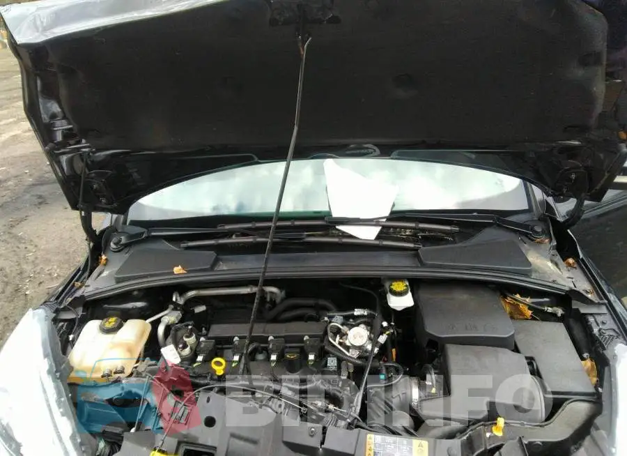 1FADP3N25JL298012 Photo# 10