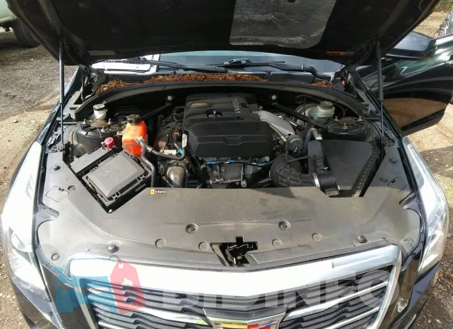 1G6AG5RX7F0112173 Photo# 10