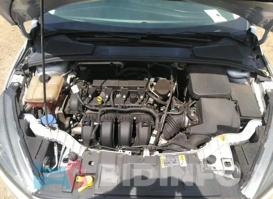 1FADP3K28GL303006 Photo# 10