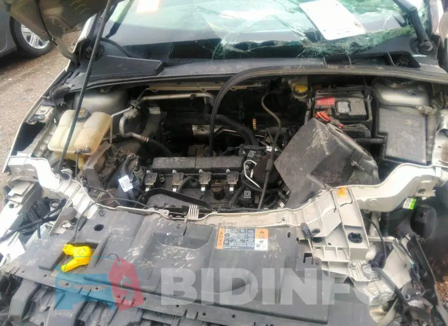 1FADP3F21GL251647 Photo# 6