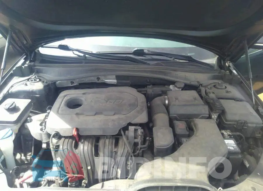 5XXGT4L31KG342223 Photo# 10