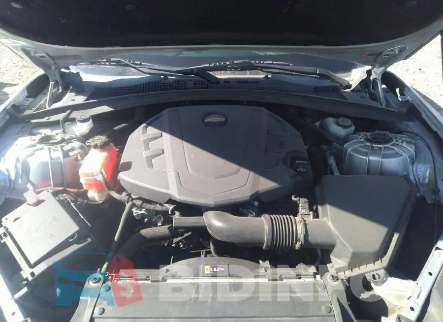 1G1FB1RS7G0188081 Photo# 10