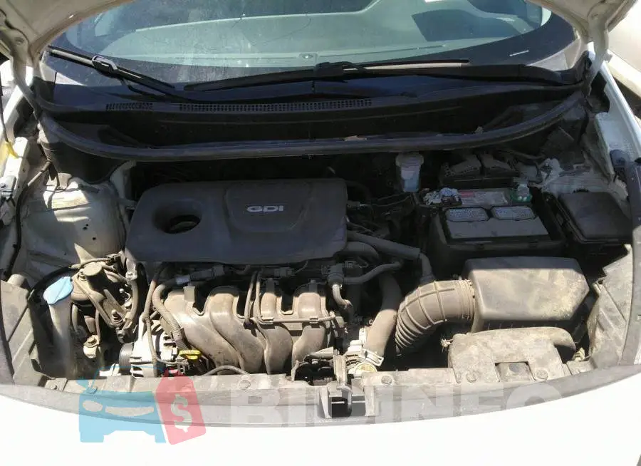 KNADM4A35G6612382 Photo# 10