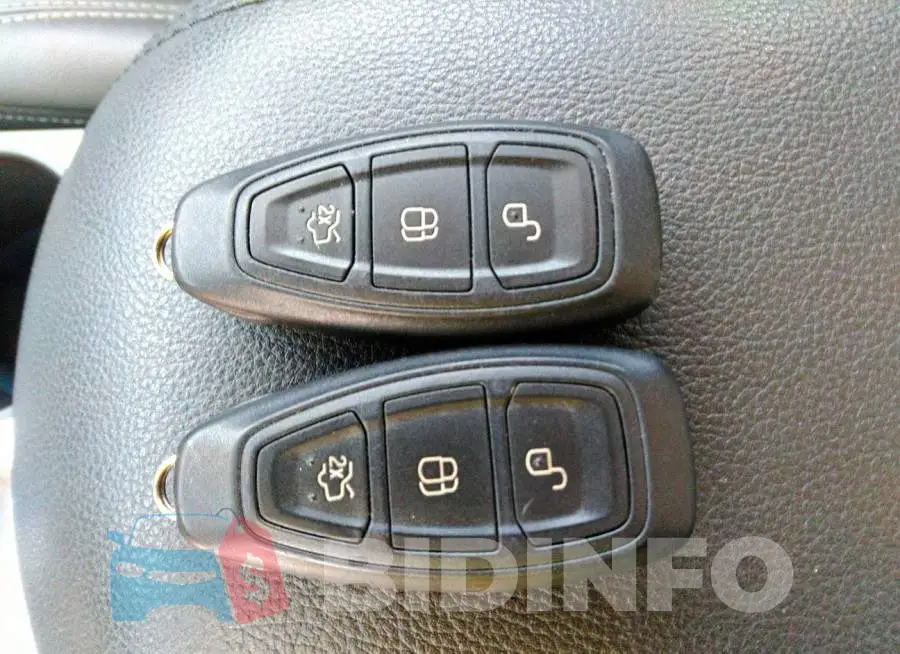 1FADP5BU4FL120021 Photo# 11