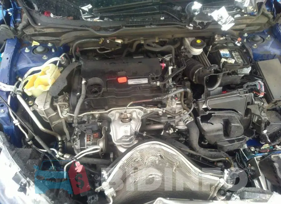2HGFC2F56GH550343 Photo# 10