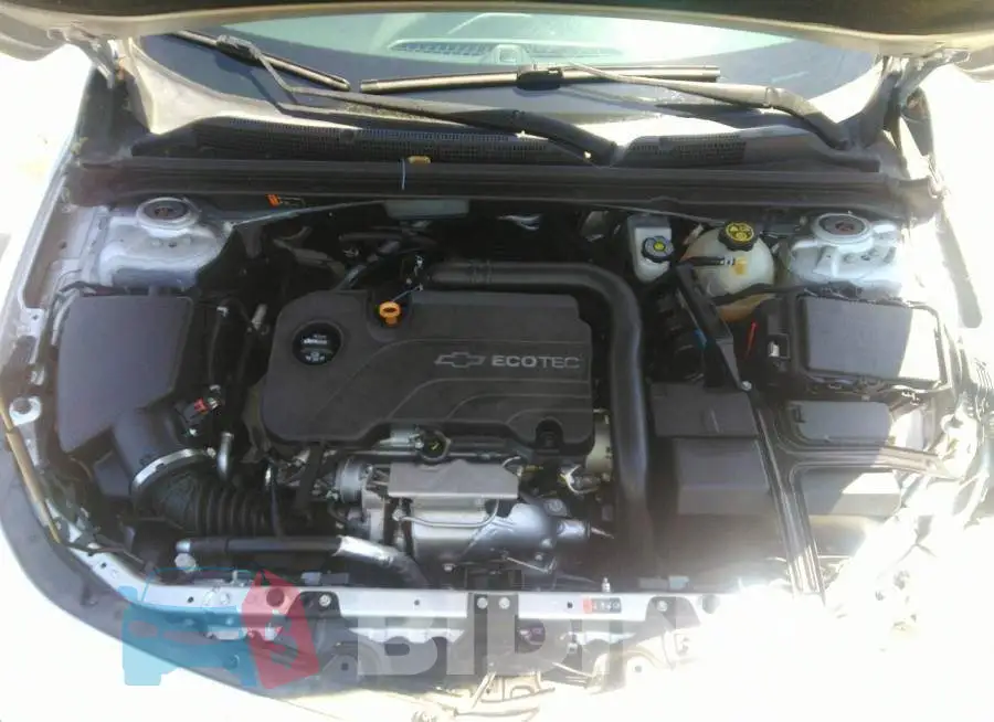 1G1ZB5ST9HF260565 Photo# 10